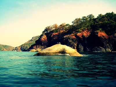 Seagulls on a rock, Butterfly Beach, Goa