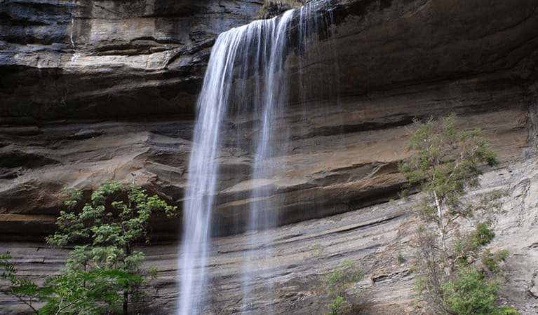 Victoria Falls walking track