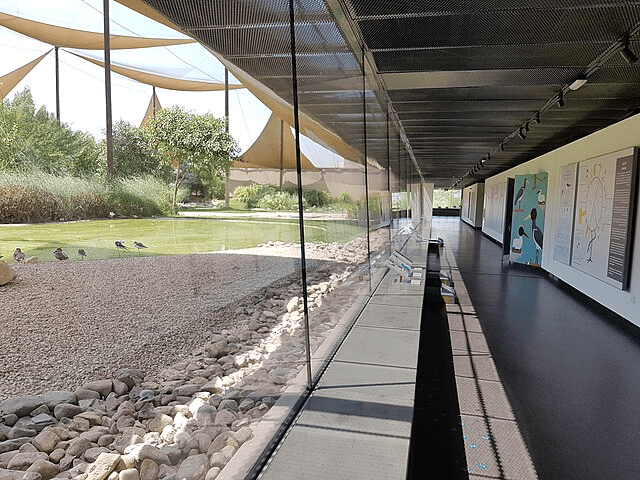 Al Wasit Wetland Centre