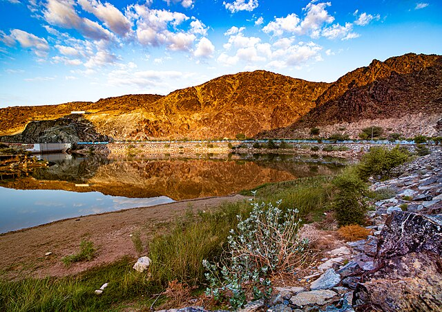 Reflection at wadi showka