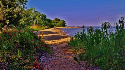 Spring Beach Scene