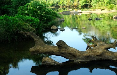 Kuruvadweep (Kuruva Island)