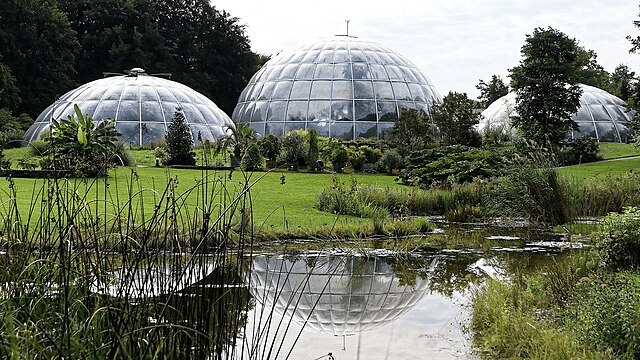 Tropenhäuser Botanischer Garten