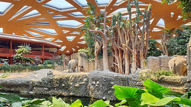 Kaeng Krachan Elefantenpark