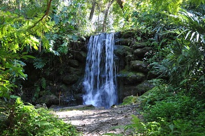 Rainbow Springs State Park Waterfall