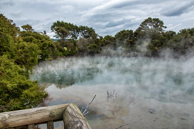 Geothermal activity at Kuirau Park, Rotorua, NZ