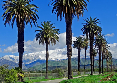 Winter in Southern California, Redlands