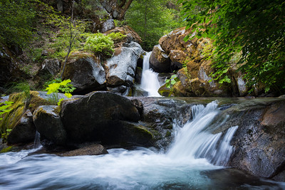 Crystal Creek in Whiskeytown