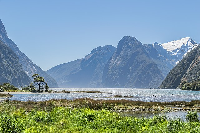 Milford Sound in Fiordland National Park