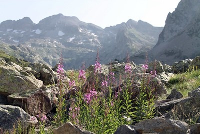 Landscape in Mercantour National Park